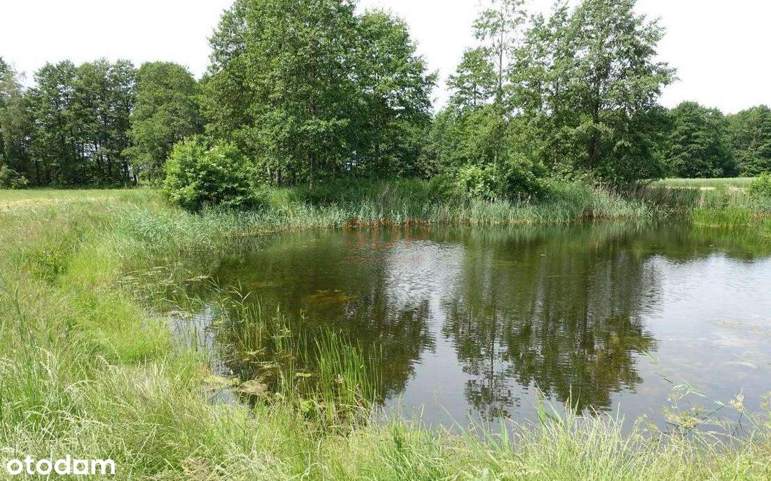 Kal / Jezioro Mamry | 1,42 ha z linią brzegową | działka inwestycyjna - Pełny obrazek: 4/8