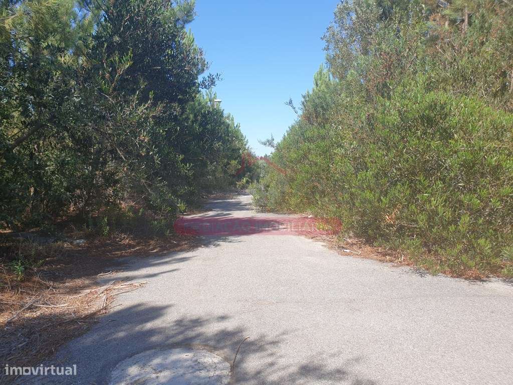 Lote Terreno Urbano - Quinta da Loba - Águeda - Grande imagem: 5/6