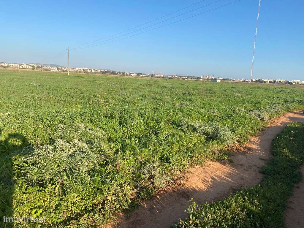 Terreno Rústico perto de Vilamoura, Algarve - Grande imagem: 3/19