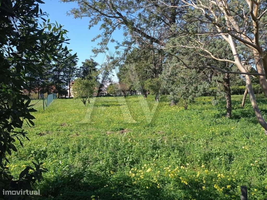 Quinta composta por moradia de dois pisos, com piscina, garagem e t...-8