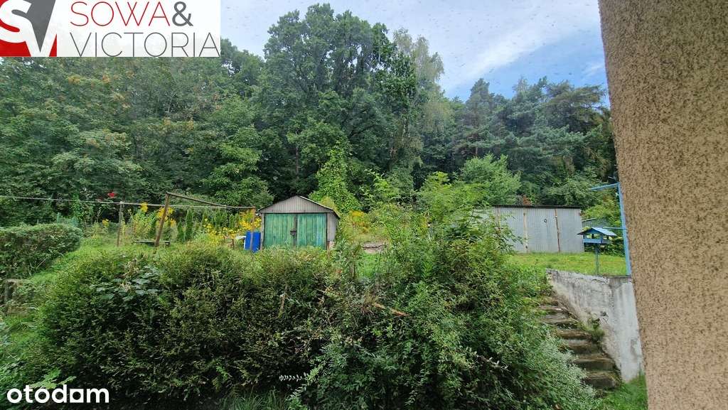 Przytulne mieszkanie pod lasem - Pełny obrazek: 4/13