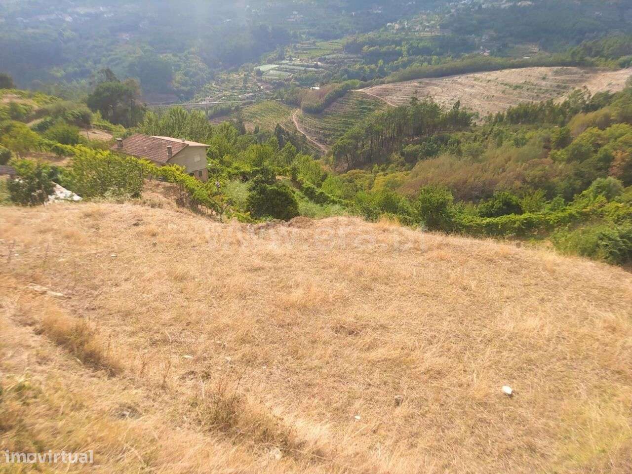 Terreno / Baião, Rio Douro - Grande imagem: 3/5