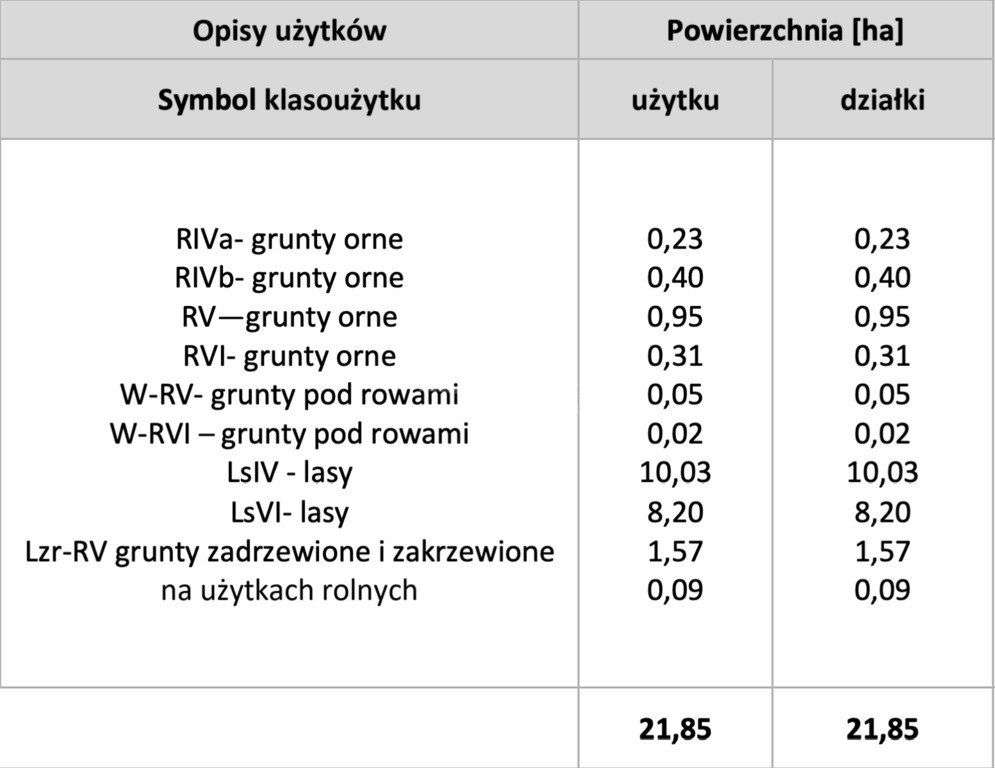Las, Grzymalin - Pełny obrazek: 4/5