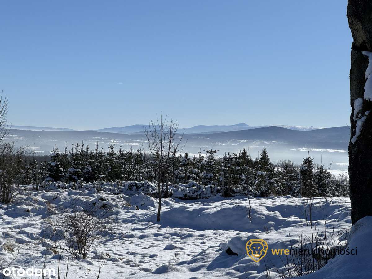 Klimatyczna działka budowlana+Usługi-9