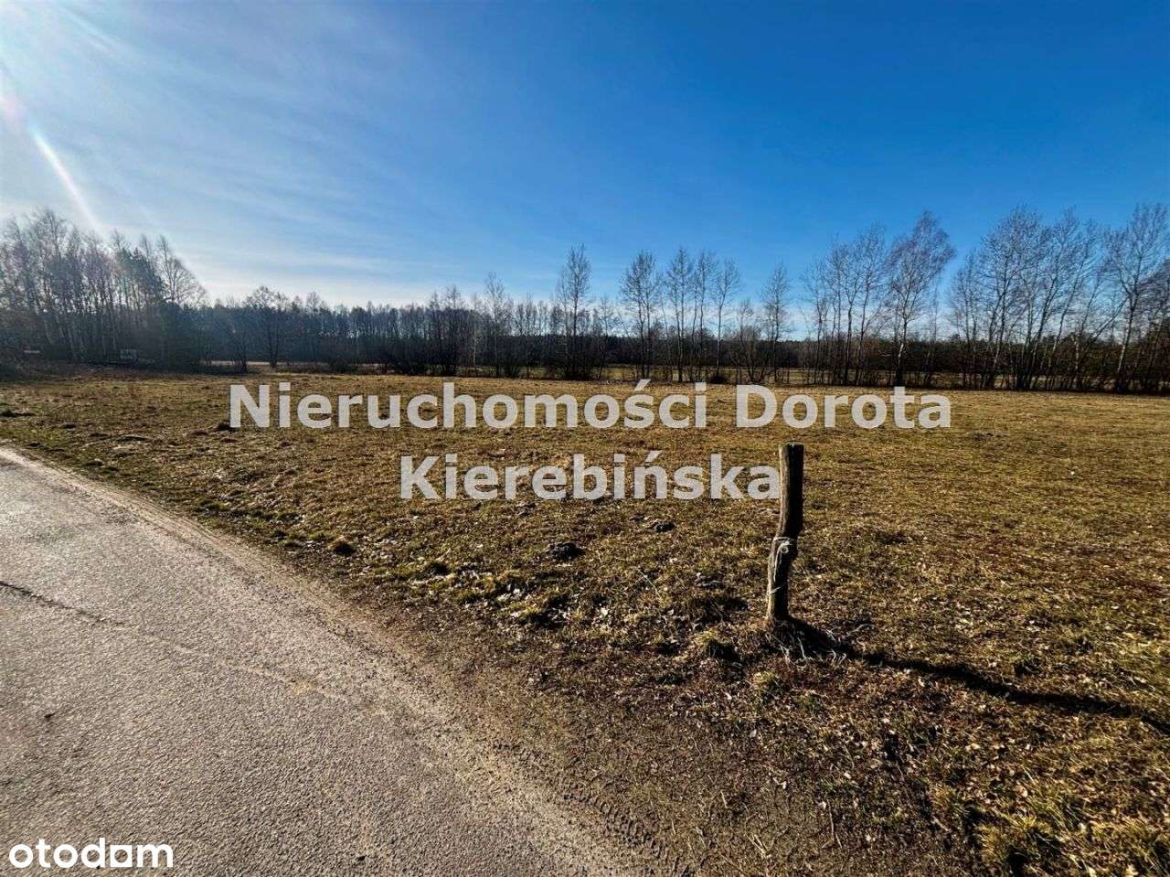 Działka w malowniczej okolicy Rzeki Pilicy. - Pełny obrazek: 5/13