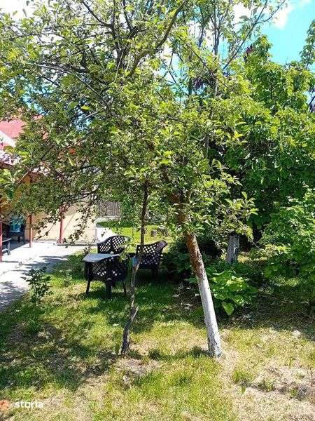 Vand 6500 mp teren intravilan - Dobrogostea Judetul Arges - Imagine principală: 4/8