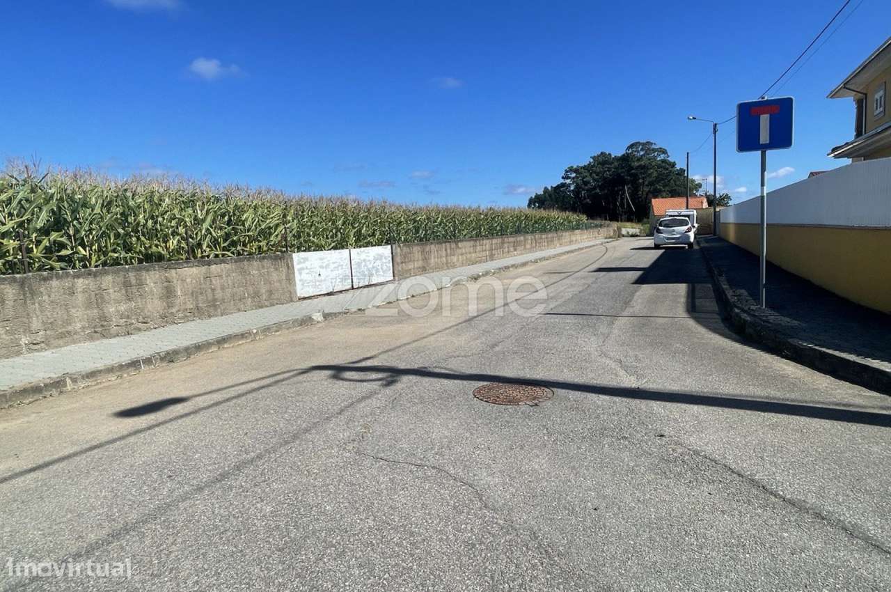 |Terreno| Cultivo | Válega| - Grande imagem: 2/15