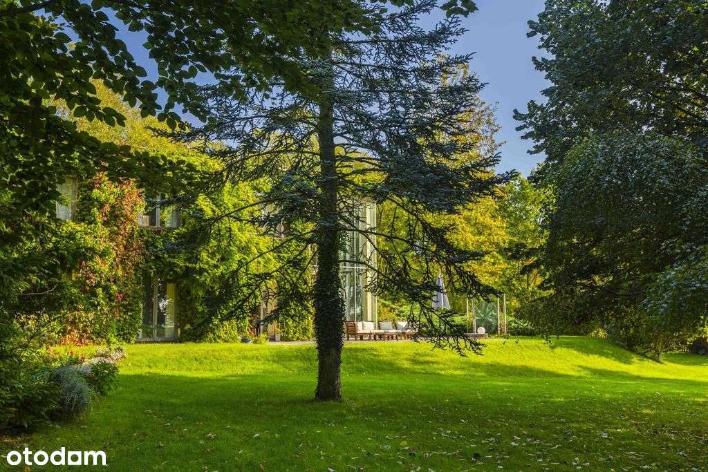 Dom Z Lasem I Malin - Pełny obrazek: 5/20