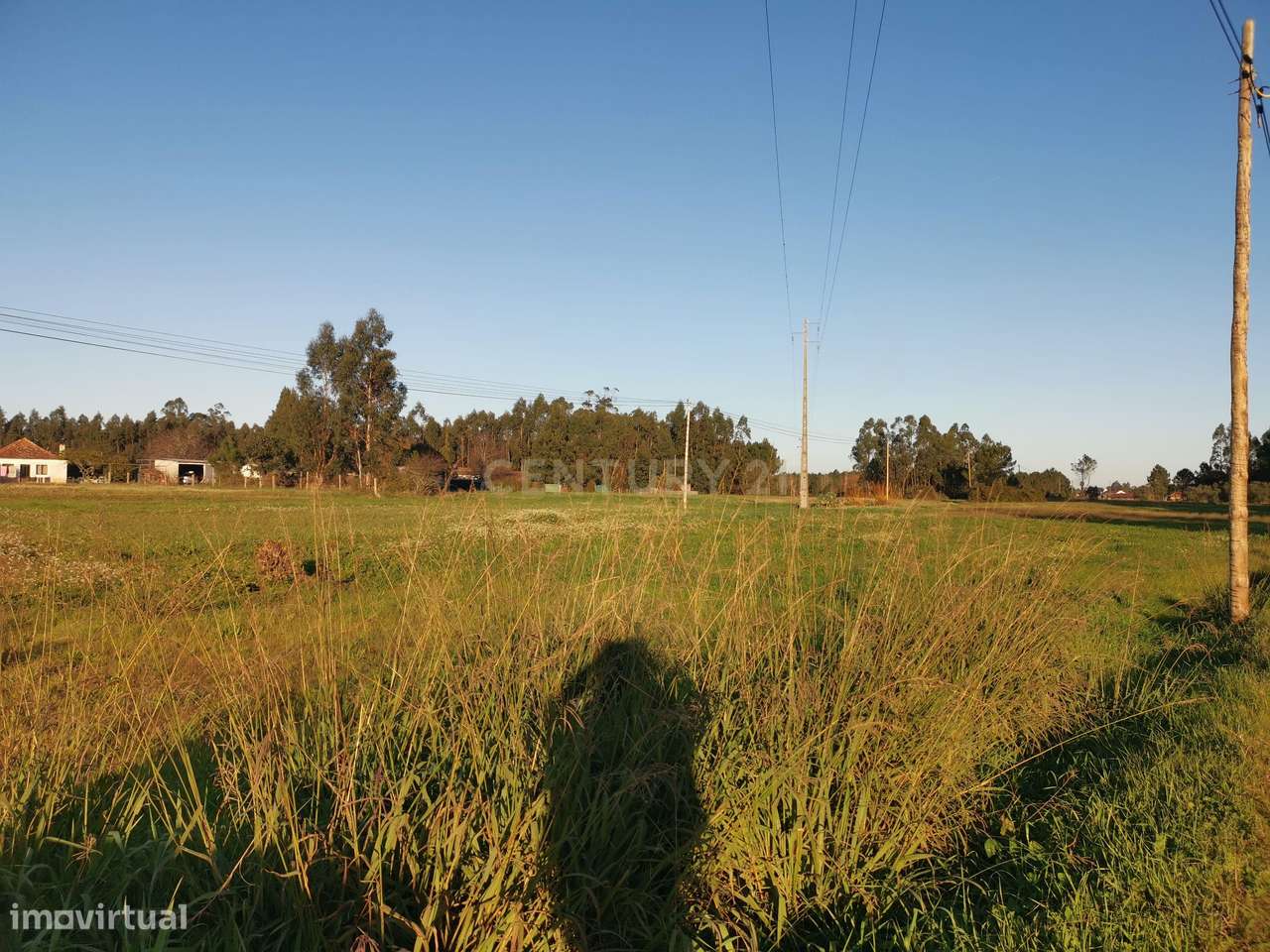 Terreno Rústico em Catarruchos - Arazede - Grande imagem: 4/18