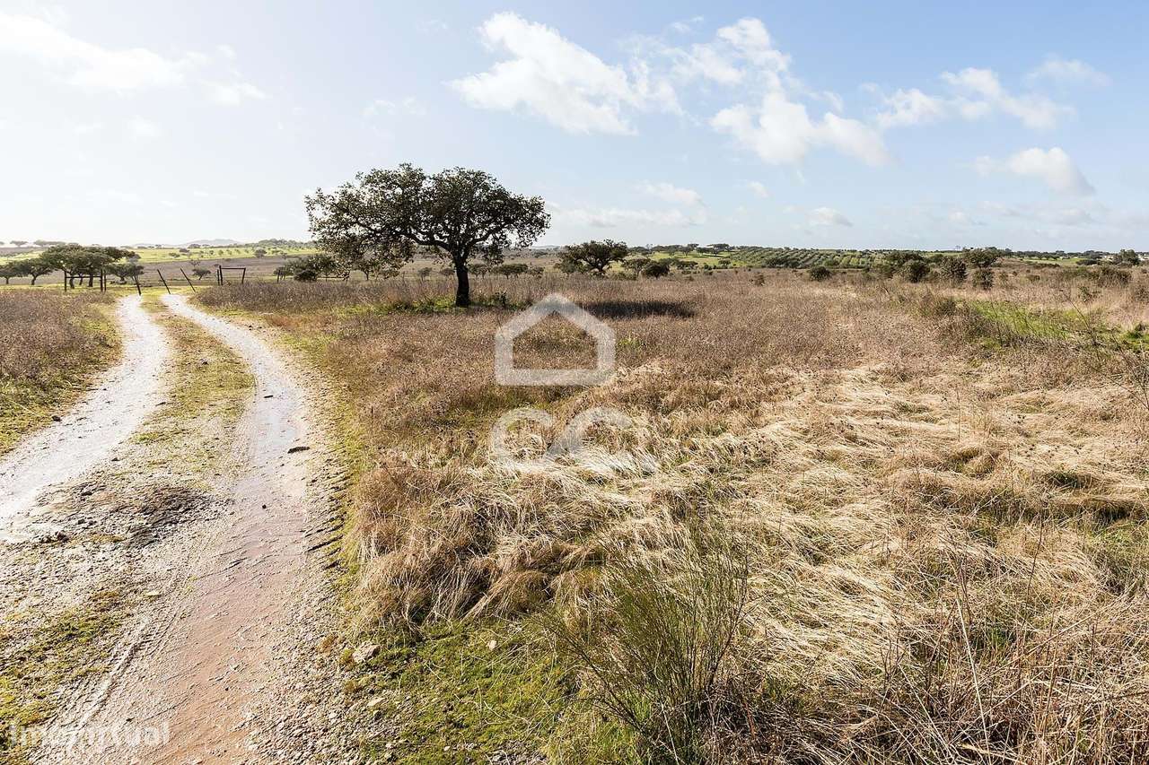 Terreno de 5,4 ha c/ Viabilidade de Construção | Capelins, Alandroal-10