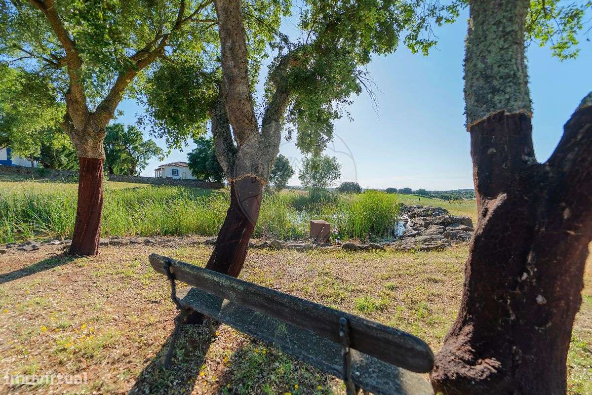 Quinta T5 para venda - Grande imagem: 5/50