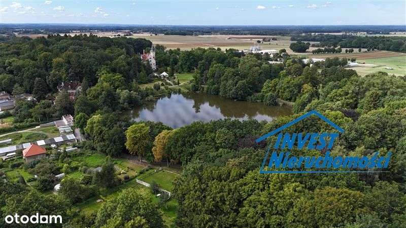 Działka rekreacyjna - Strzekęcino Strzekęcino-13