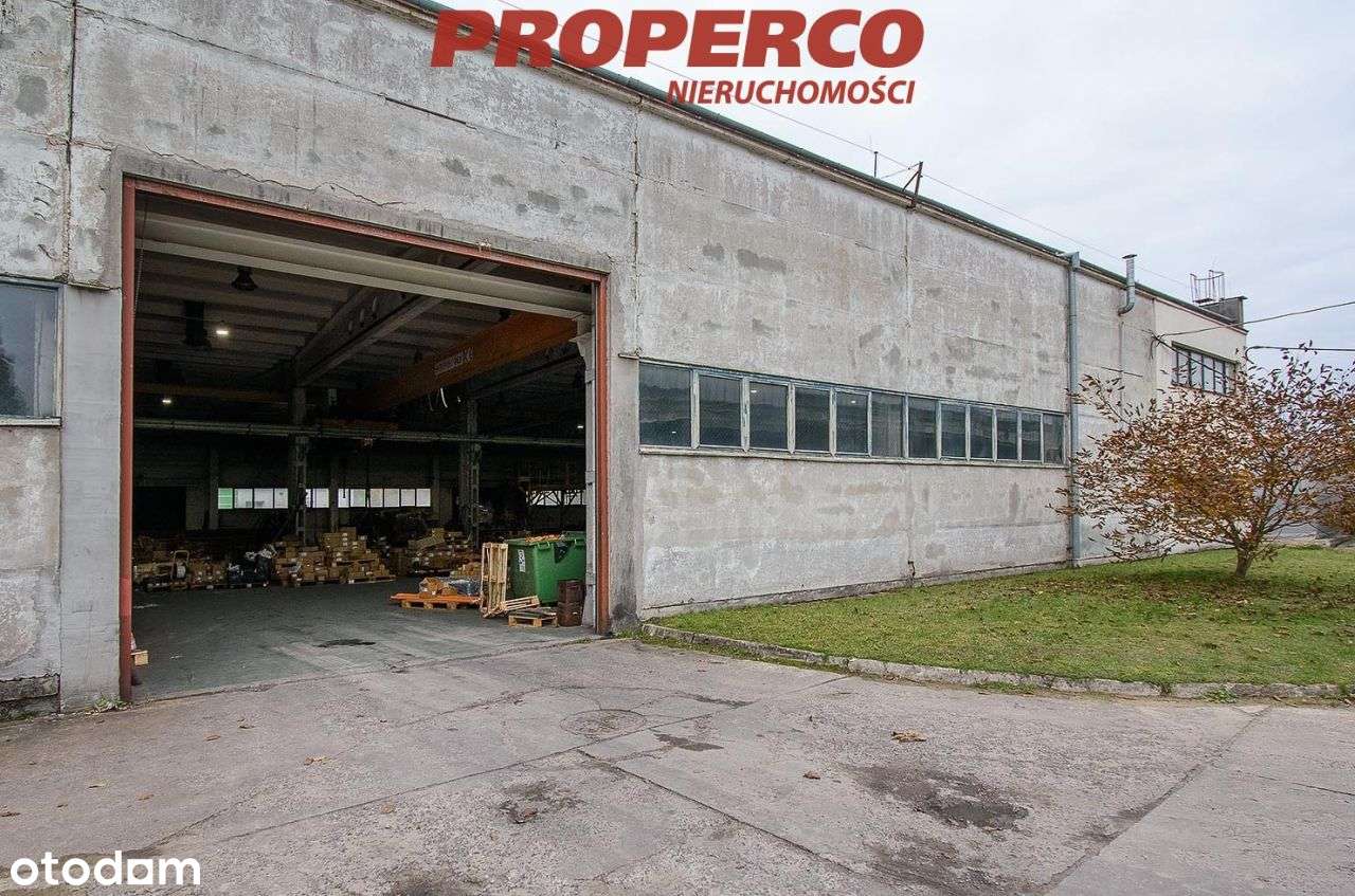 Hala 2645m2, 2 suwnice, Skarżysko-Kamienna - Pełny obrazek: 5/14