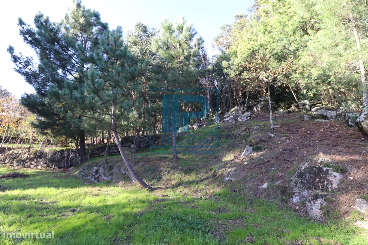 Quinta T3+1 Venda em Penhalonga e Paços de Gaiolo,Marco de Canaveses-42