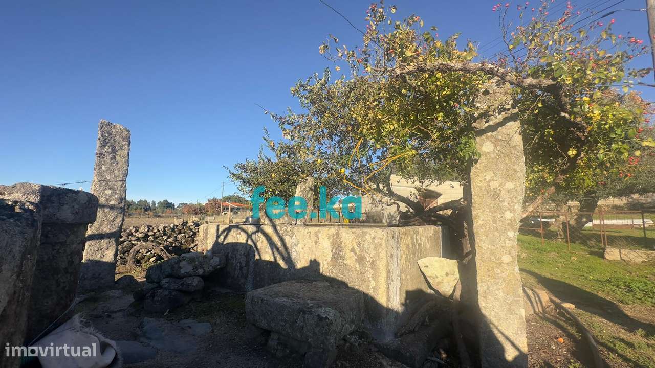 Quinta em Escalos de Baixo-16