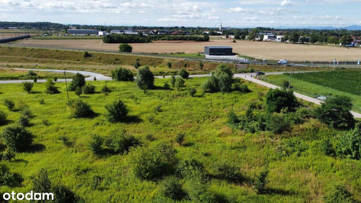 Iwiny 1,9ha działka usługowo produkcyjna obok Aow - Pełny obrazek: 2/8