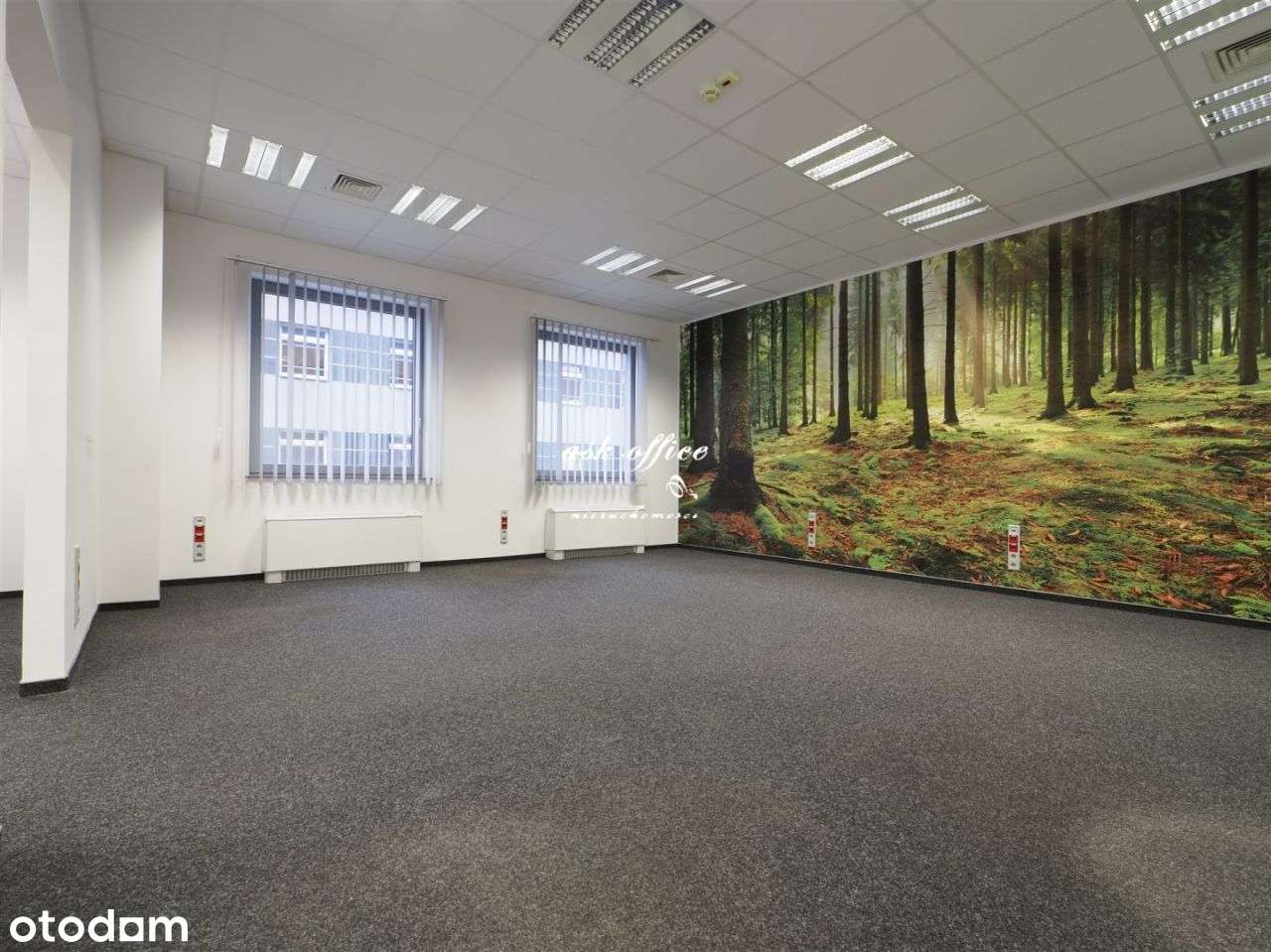 Lokal użytkowy, 66 m², Wrocław