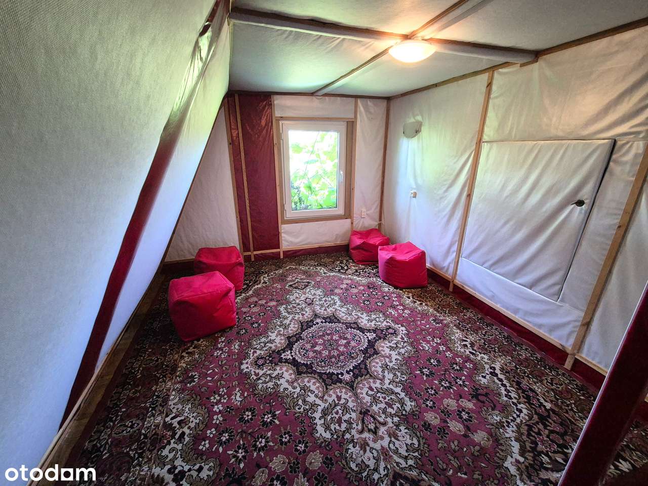 Działka rekreacyjna, ROD "Poziomka" z drewnianym domkiem - Pełny obrazek: 4/8