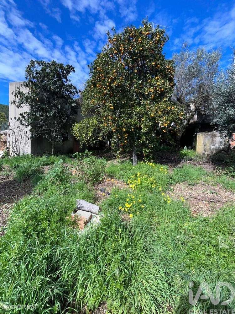 Casa / Villa T2 em Sobreira Formosa e Alvito da Beira de 82,00 m2 - Grande imagem: 4/25