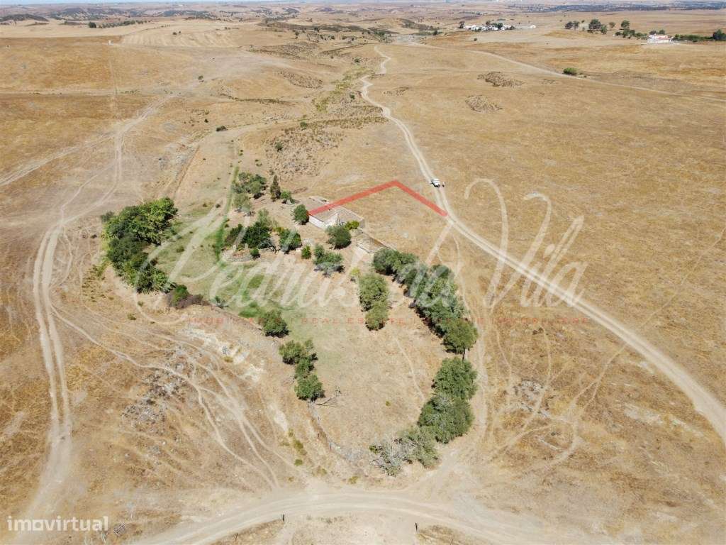 Propriédade de 119ha com varias ruinas - Castro Verde-8