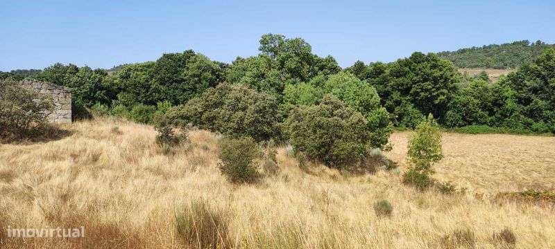 Terreno Rustico com Ruina de Casa Antiga - Grande imagem: 4/11