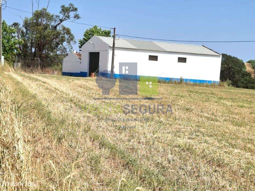 Herdade | Sobral da Adiça - Grande imagem: 2/15