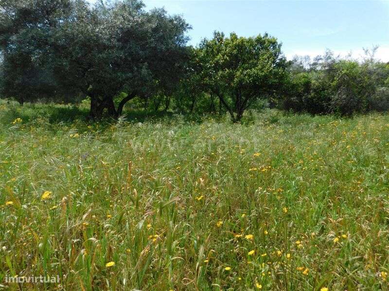 Terreno / Fundão, Vale Prazeres - Grande imagem: 5/11