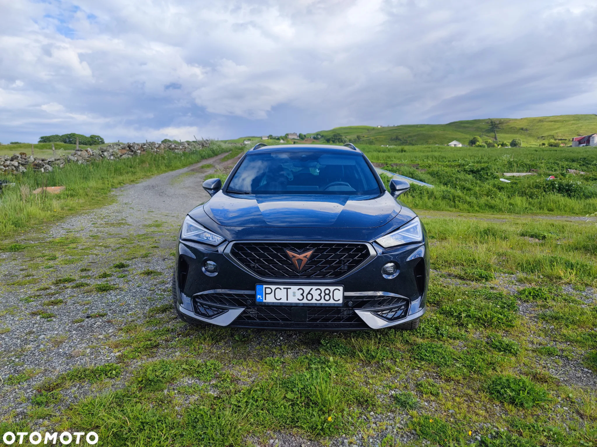 Cupra Formentor 1.5 TSI DSG - 2