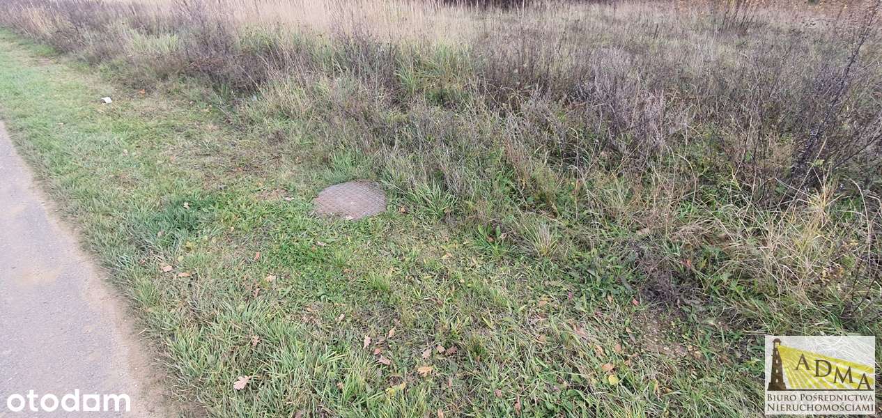 Mierzęcice Zawada 2 działki budowlana każda po 10 ar-9