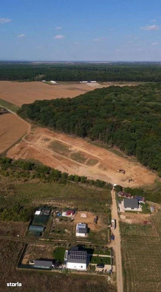 Lot de teren, padurea Snagov - Ciolpani - mega reduceri de pret!-10