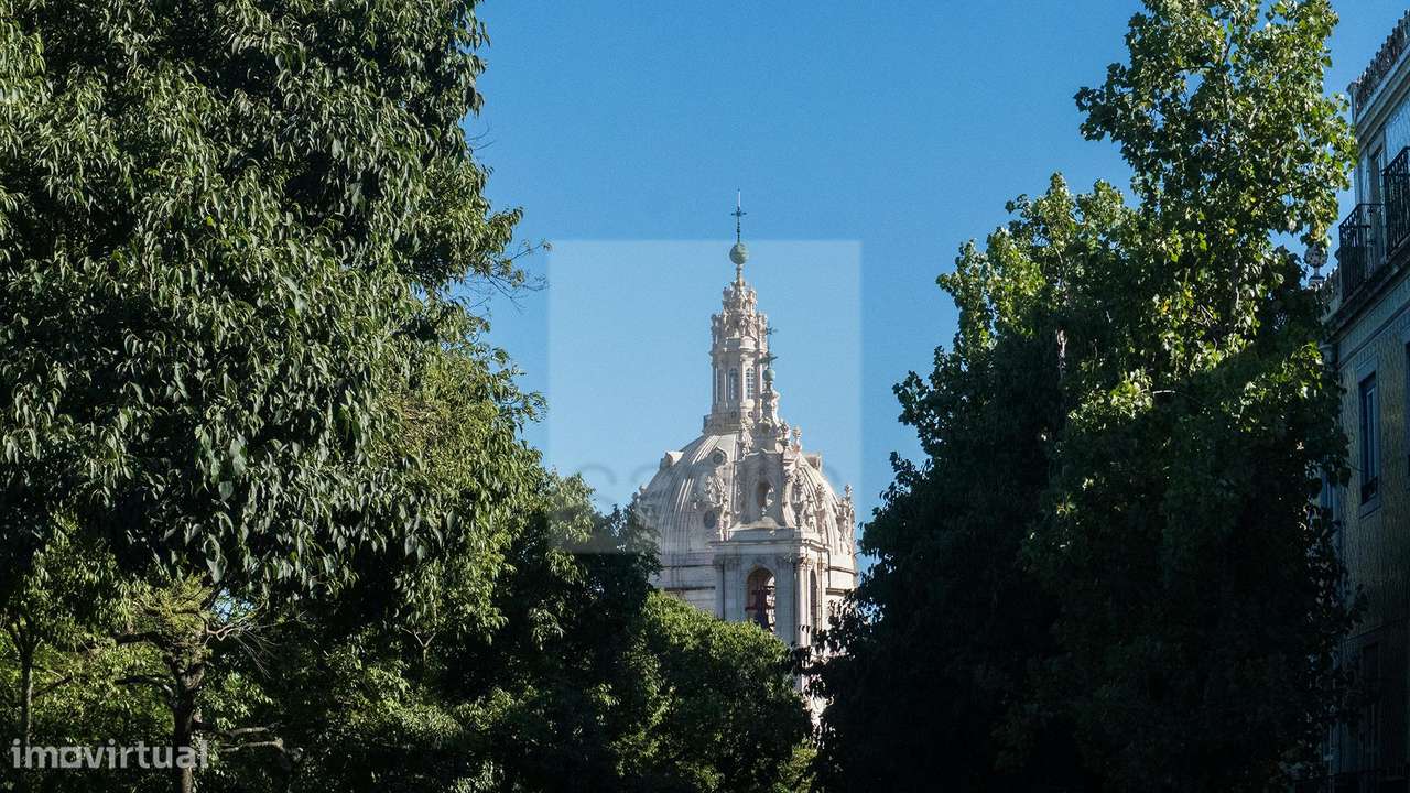 Loja | Campo de Ourique-16