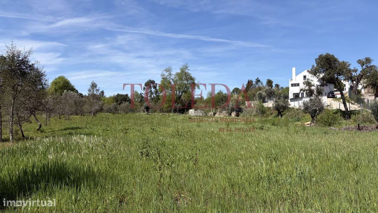 Quintinha em Tomar com 2 casas-56