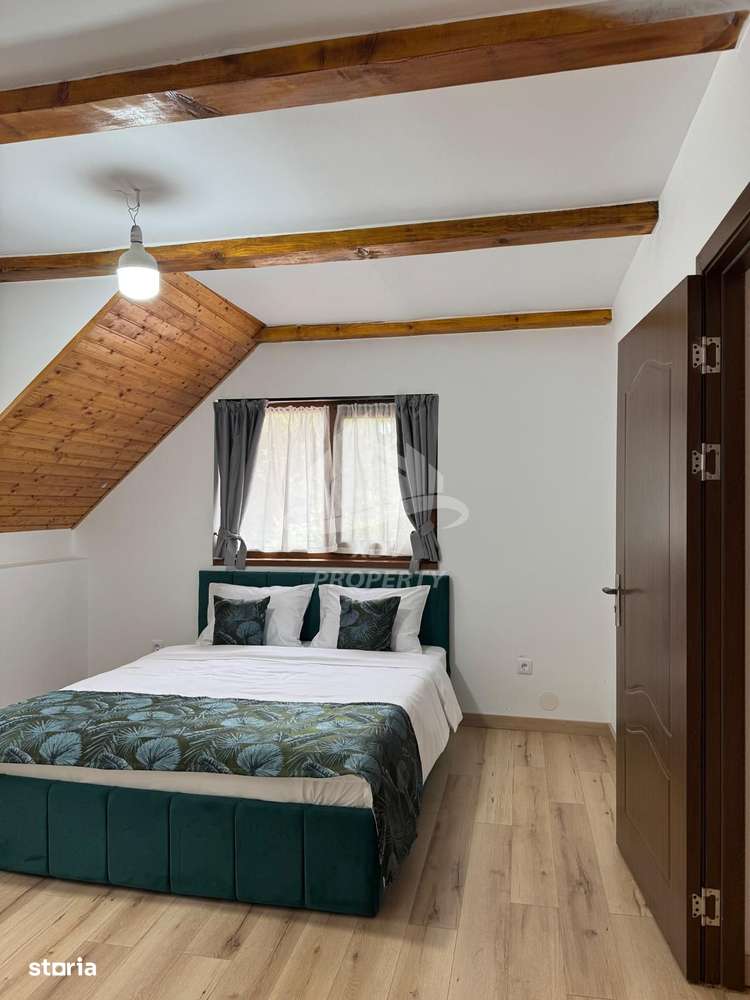 Pensiune/ Vila Valea Avrigului-1