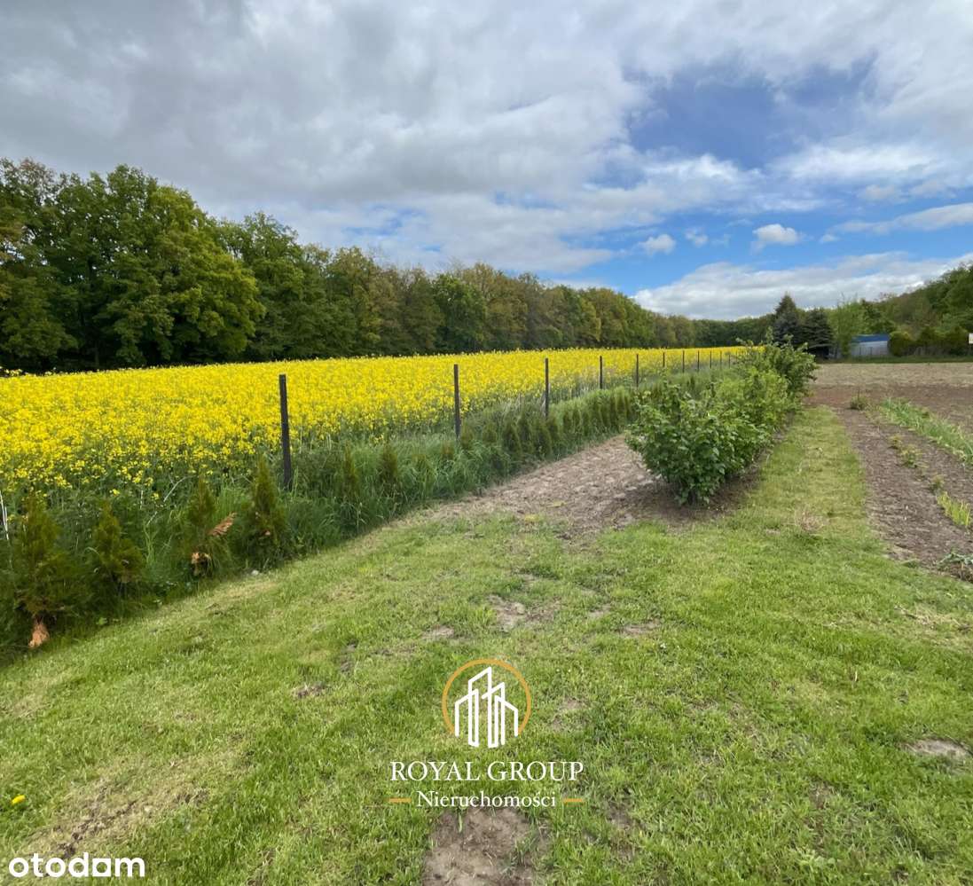Działka rolno-budowlana - 1350m2- Krępiec - Pełny obrazek: 4/8