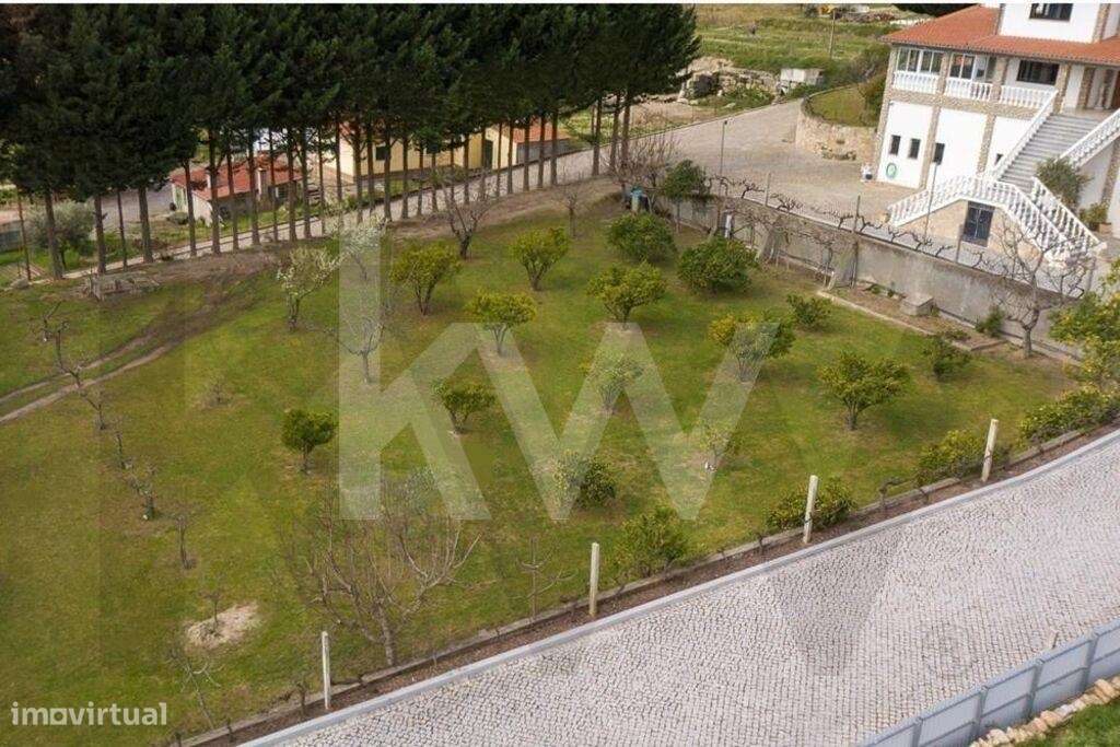 Fantástica Quinta com casa encantadora em Belmonte-9