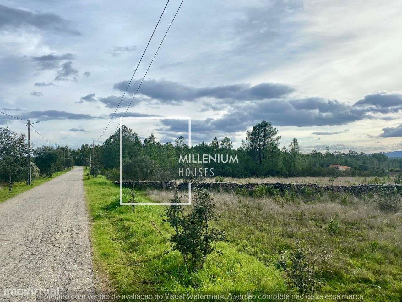 **Terreno Excecional em Sarnadas de Rodão**-1