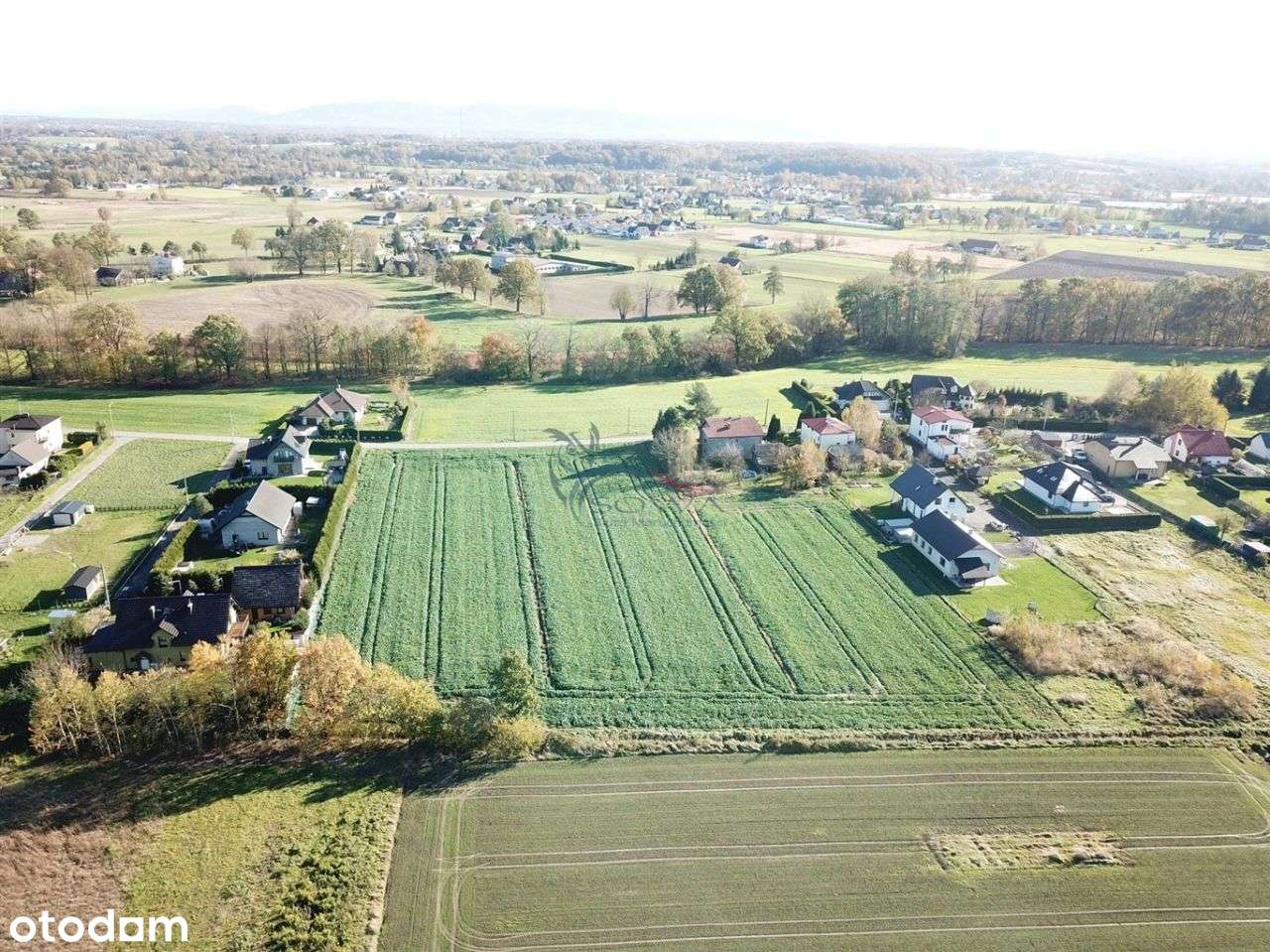 Działka budowlana w Zabrzegu - Pełny obrazek: 4/6