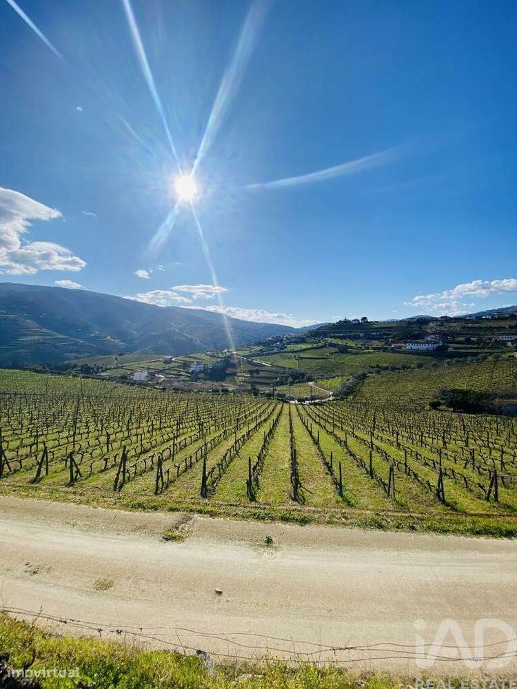 Quinta T3 em Fontelas de 1020,00 m2 - Grande imagem: 5/30