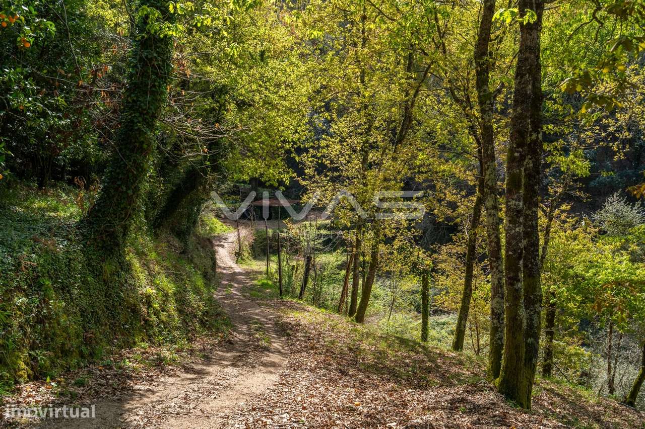 Terreno Rústico  Venda em Louredo,Vieira do Minho - Grande imagem: 4/21