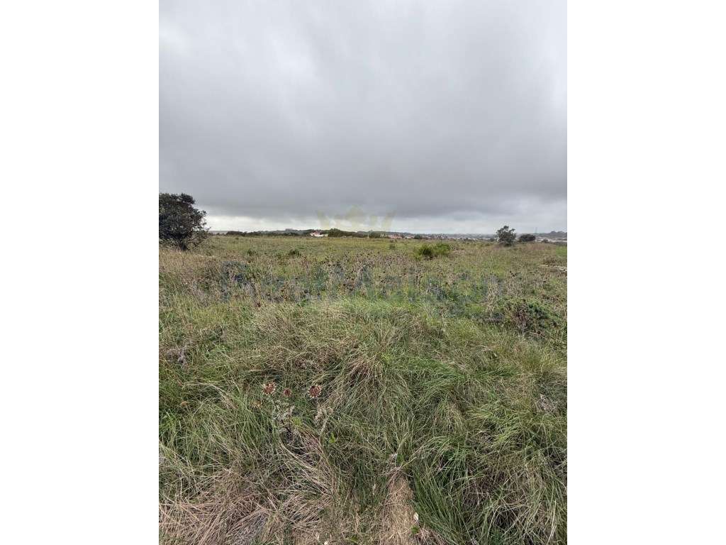 Vende-se Terreno com mais de 2ha na Terrugem - Grande imagem: 5/8