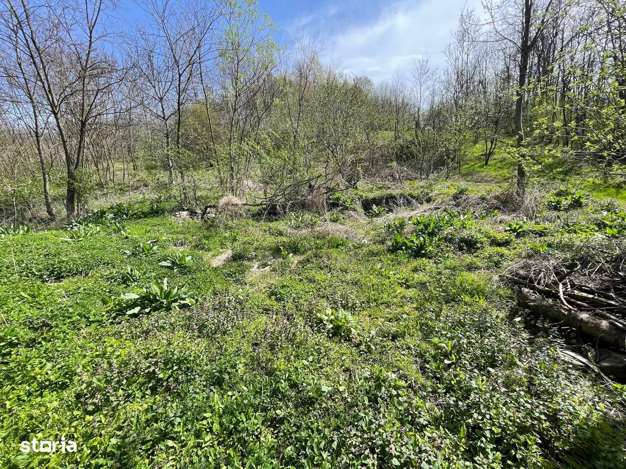 Oportunitate de Investiție în Slănic Prahova-1