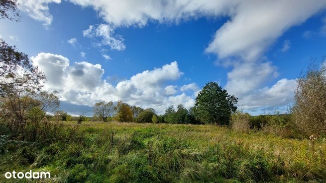 Inwestycyjna, wysoki wsp. zabudowy, koło ringu