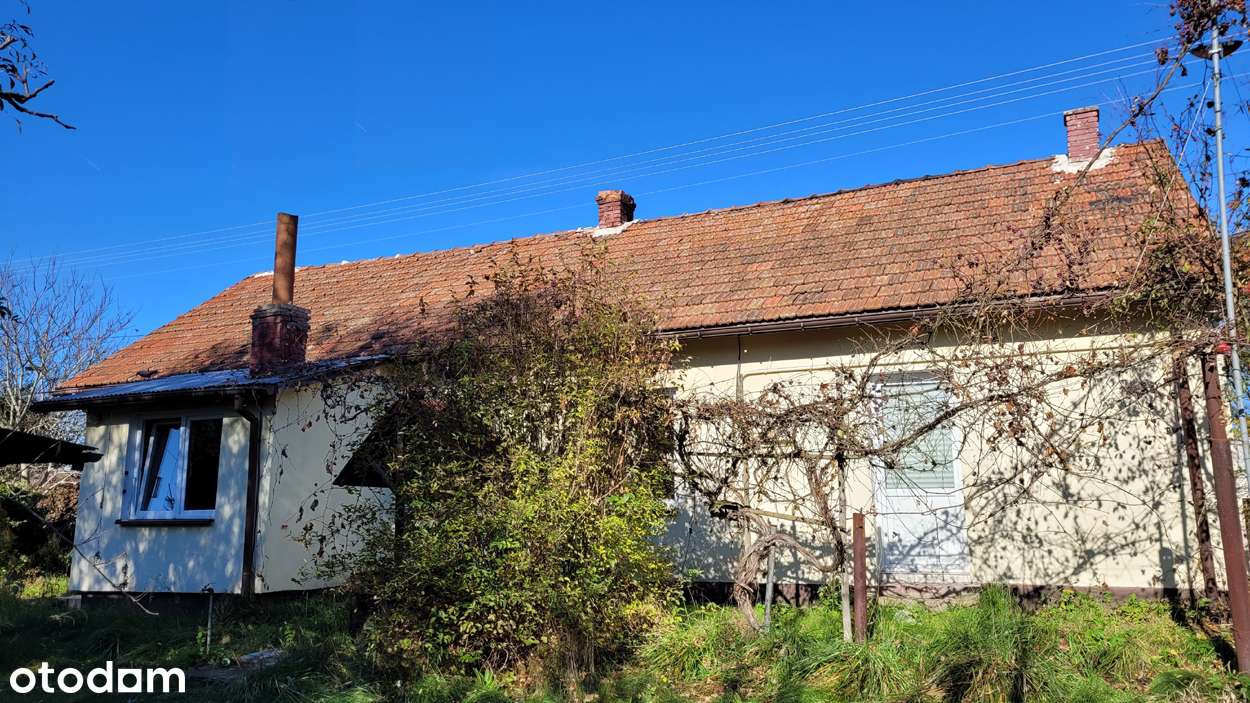 Dom 80 m2 na działce 2677 m2 Skrzypiów/Pińczów-4