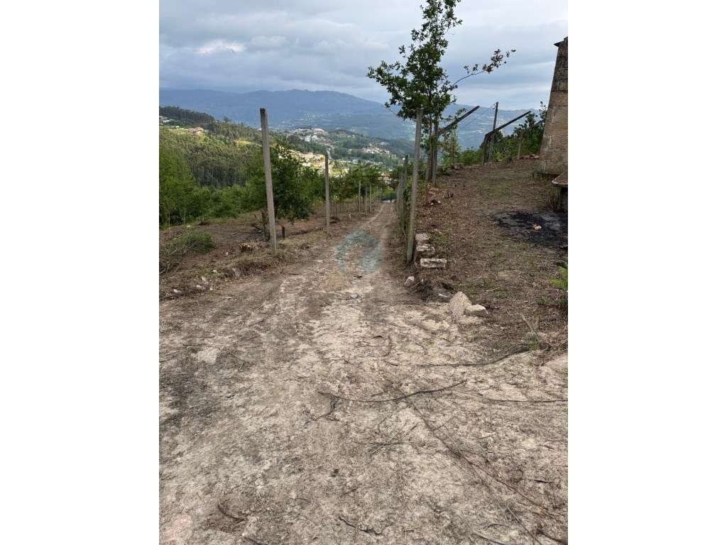 Quinta com Potencial em Marco de Canaveses-24