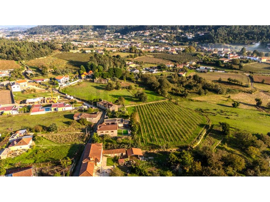 Quinta com Casas - Braga-Barcelos - Grande imagem: 4/16