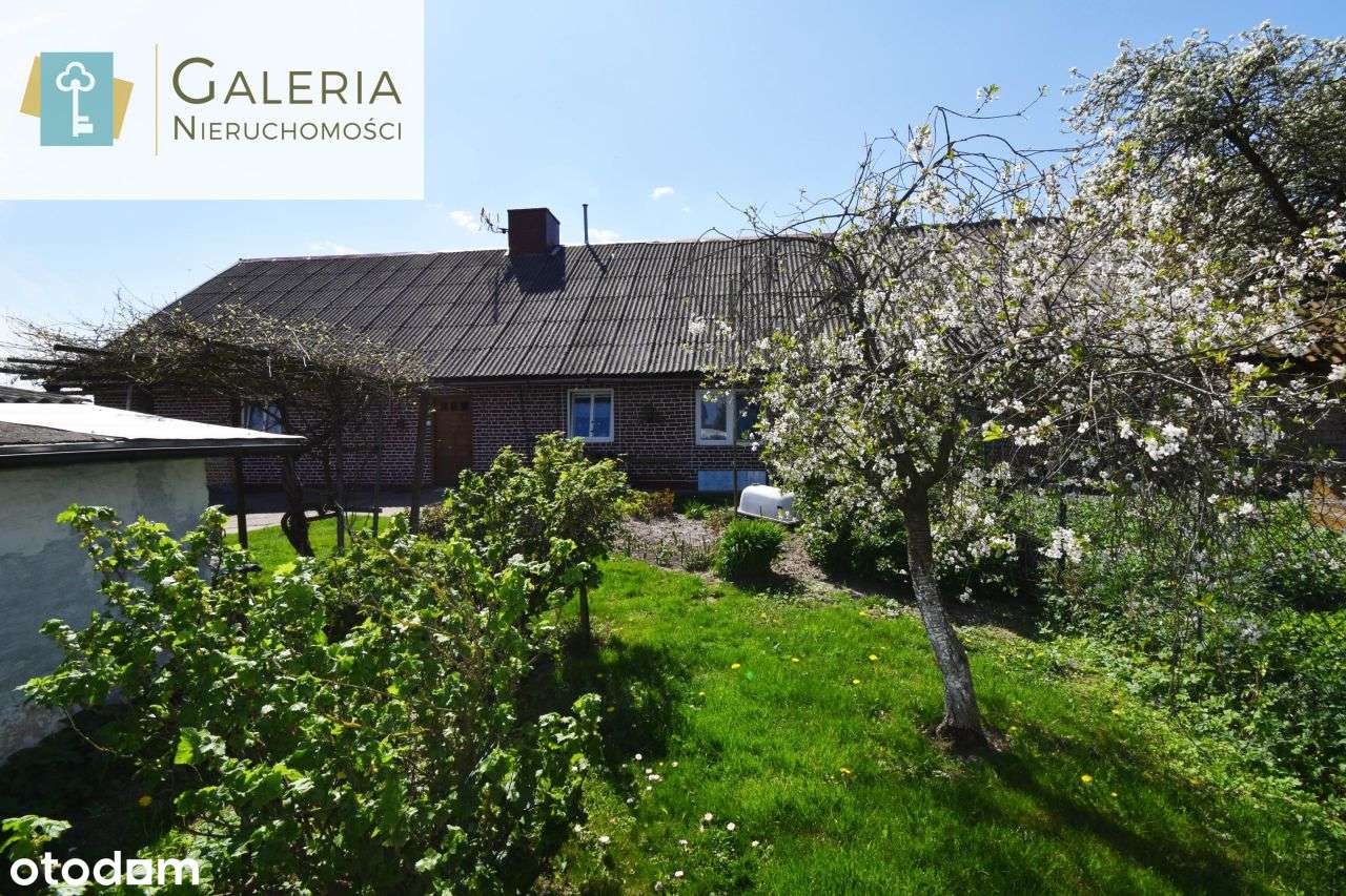 Dom, 80 m², Bielica - Pełny obrazek: 5/14