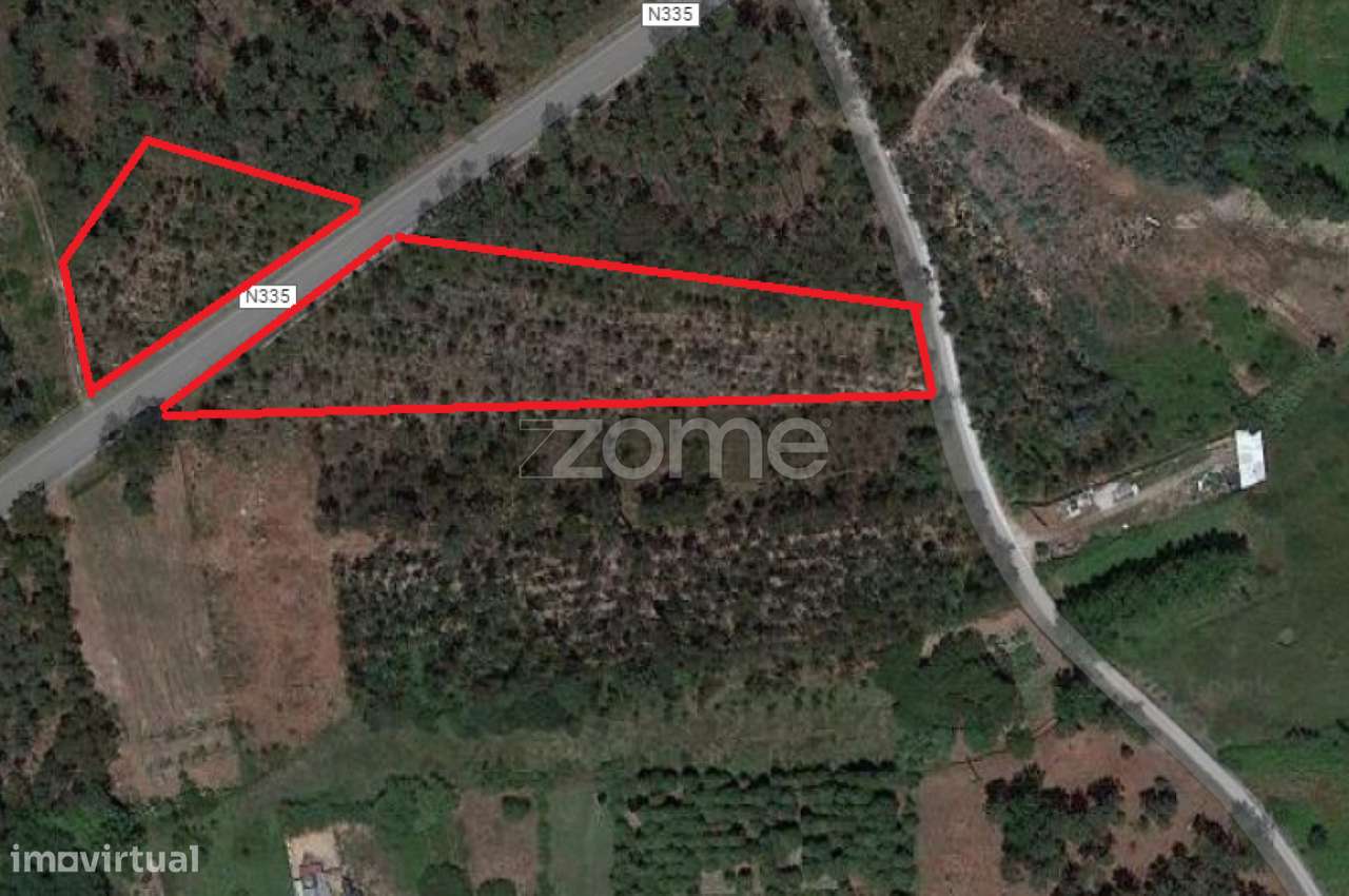 Terreno rústico com 7200M2 - Cantanhede - Grande imagem: 2/15