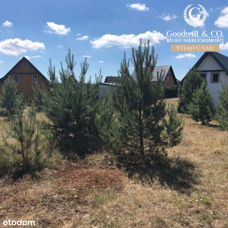 Działka na Kaszubach - Pełny obrazek: 3/5