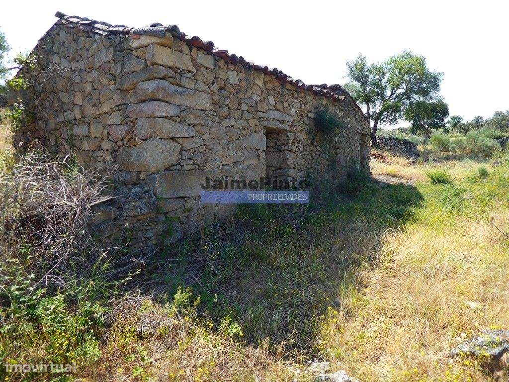 250 000 m2 agrícolas e casas em ruínas. Portugal, F. C. Rodrigo - Grande imagem: 3/9