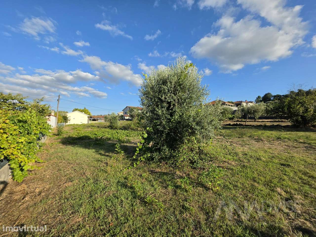 Terreno Urbano  Venda em São João de Lourosa,Viseu-7